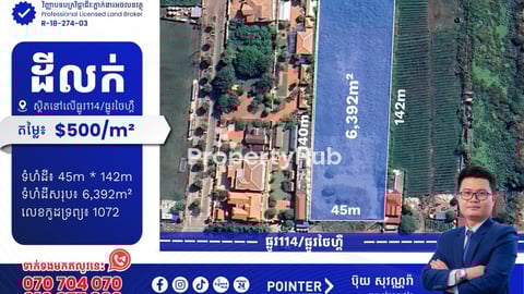 ដីលក់នៅលើផ្លូវ124/ផ្លូវថៃហ្គឺ