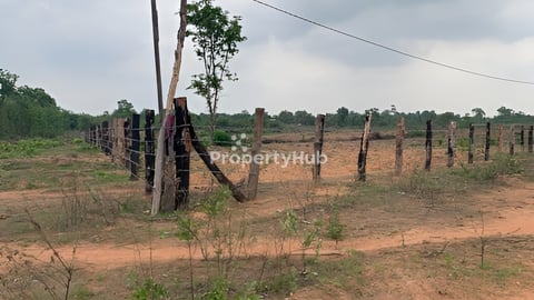 ដីចំការក្នុងក្រុងស្ទឹងត្រែង (ប្លង់រឹង ម្ចាស់ផ្ទាល់)