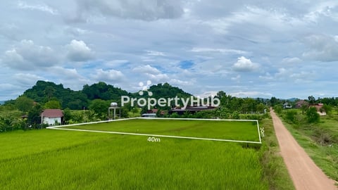 ដីលក់បន្ទាន់​(450m ពីផ្លូវ​ជាតិ33) ភ្លើងរដ្ឋ ទឹកស្អាត