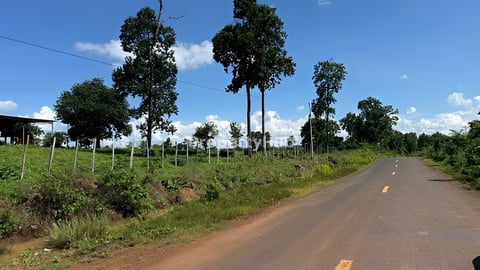 ដី​ លក់​បន្ទាន់​