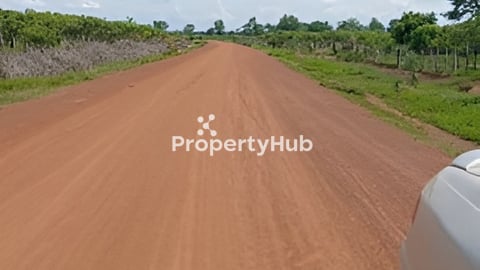 ដីលក់ជិតព្រលានយន្តហោះសៀមរាបថ្មី ( 1ការ៉េ  $2.5)