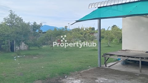 ផ្ទះ​ចំការលក់បន្ទាន់ ព្យាបាលជំងឺ