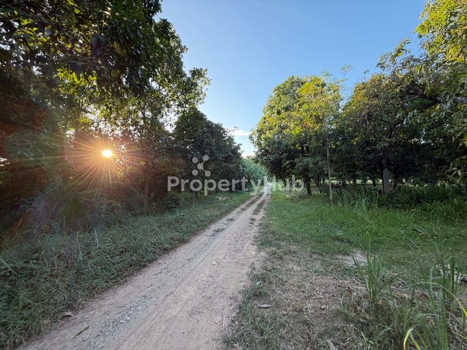 Property 4