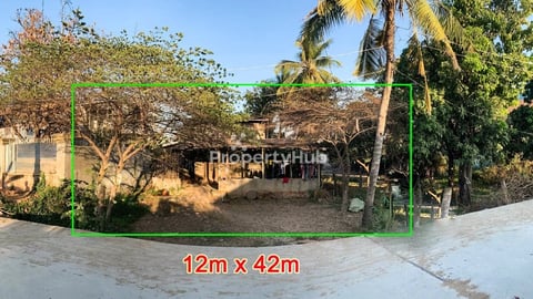 ដីលក់បន្ទាន់ 12m x 42m