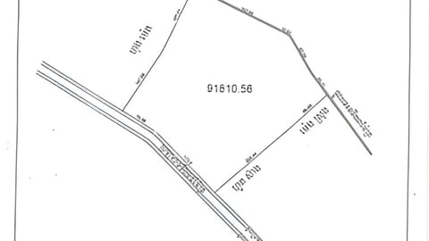 ដីលក់ល្វាឯម ជាប់ការិយាល័យគណបក្សប្រជាជនកម្ពុជាស្រុកល្វាឯម