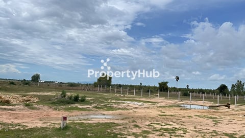 នៅខាងលិចភ្នំបាសិទ្ធ តំបន់ដីឡូរ និង បុរី