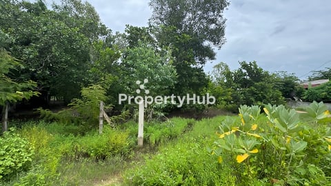 ដីលក់បន្ទាន់ខាងលិចជាប់ផ្លូវជាតិ 51