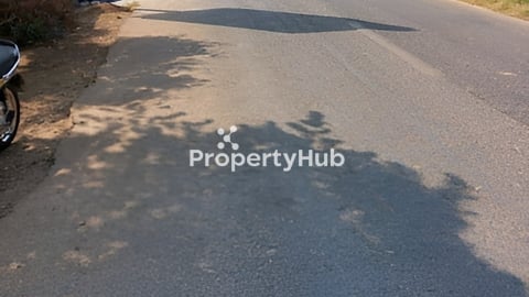 ដីទន្លេលក់បន្ទាន់