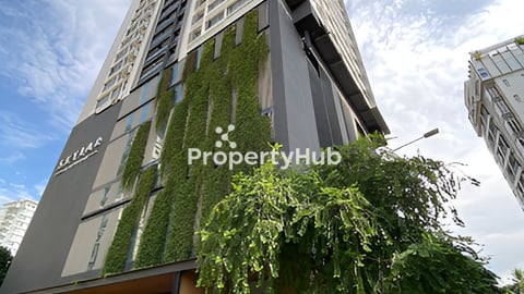 Skylar available one bedroom for rent 🎉