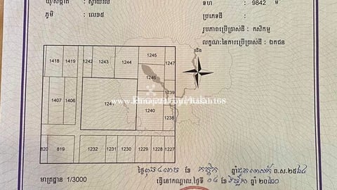 001: ដីតាខ្មៅ 9,842m2 ជិតក្រវ៉ាត់ក្រុង 3
