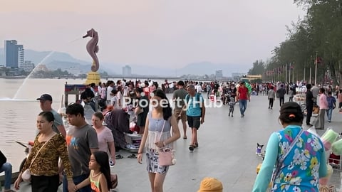 ដីកំពតលក់បន្ទាន់