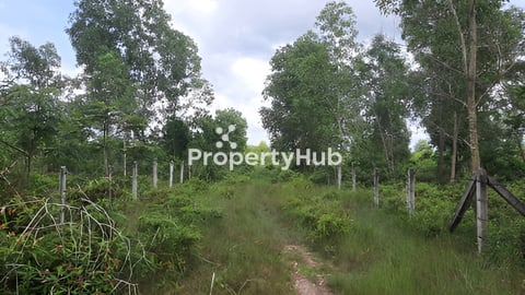 ដីលក់ ខេត្តកែប