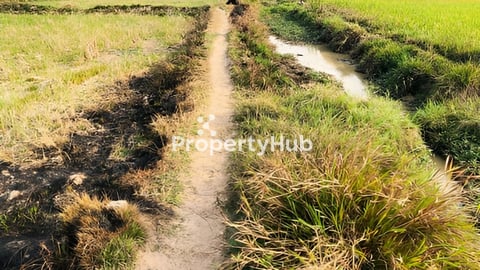 Land for sale កំបូល