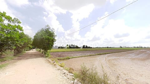 ដីលក់បន្ទាន់