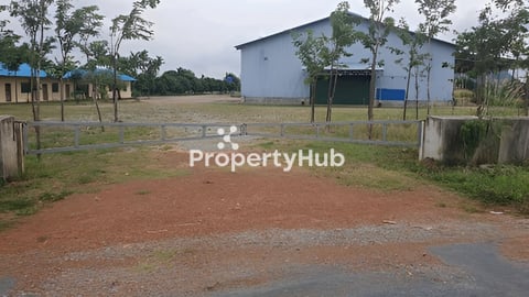 ឃ្លាំងនិងដីលក់បន្ទាន់