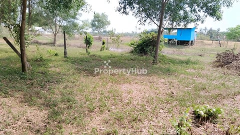 ដីលក់បន្ទាន់ ផ្សារដេីមម៉ូយ