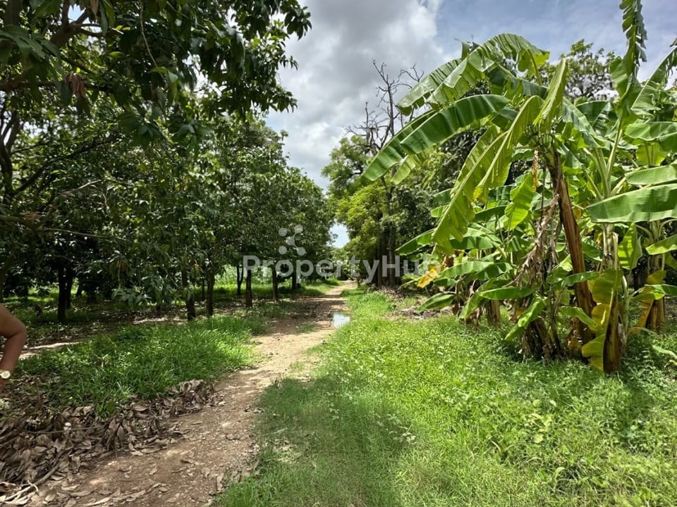 Property 4