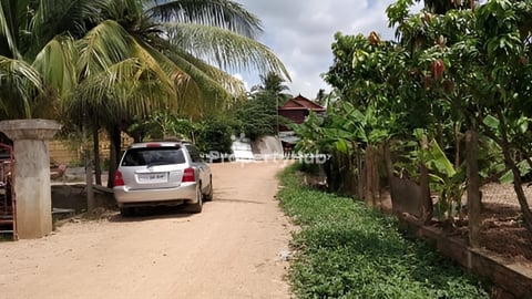 ដីគៀនស្វាយលក់