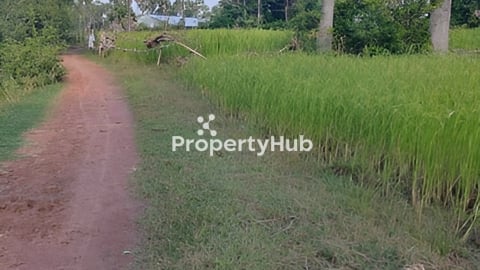 ដីលក់ស្រុកឧដុង្គនៅតំបន់សេដ្ឋកិច្ចពិសេសកាណាឌីយ៉ា