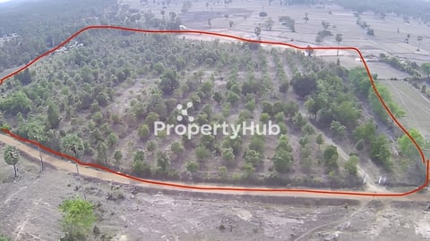 ដីចំការស្វាយជិត5ហាត់ លក់បន្ទាន់