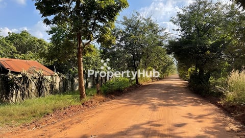 ដី 321 ហិកតា លក់បន្ទាន់