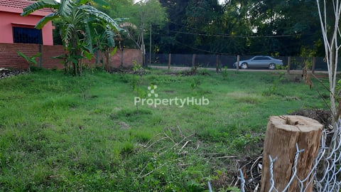 ដីលក់បន្ទាន់