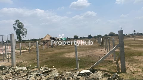 ដីលក់បន្ទាន់