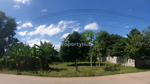 ដីលក់នៅកោះដាច់ (ប្លង់រឹង237.5m2)ទីតាំងល្អណាស់ ចង្ងាយ8Kmពីវត្តភ្នំ ឆ្លងចូលតាមកំពង