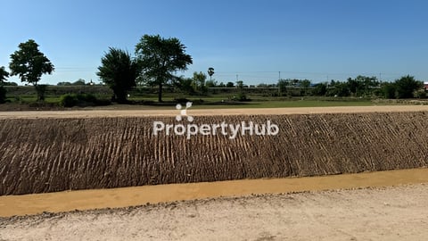 ដីក្បាលជាប់ផ្លូវែង ដីជាប់ប្រឡាយ