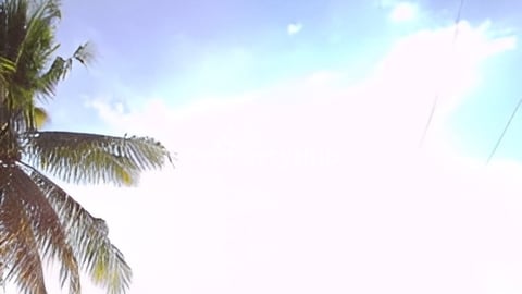 ដីលក់ មានប្លង់រឹង ជាប់ស្ទឹងព្រែកត្នោត ៦០មx៣០ម