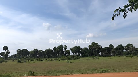 ដីលក់ ទំហំ23743 m2 តំម្លៃល្អជាងគេក្នុងតំបន់