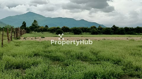 ដីលំហែ ក្បែរភ្នំព្រះធាតុ