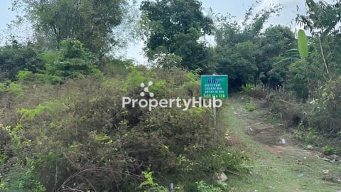 ដីលក់នៅសែ្រអំបិលផ្លូវទៅឆេ្នរនេសាទនឹងឆេ្នរកោងកាង