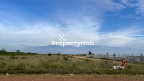 ដីលក់នៅកំពង់ស្ពឺ ដីផ្លូវកែង 20m X 62m