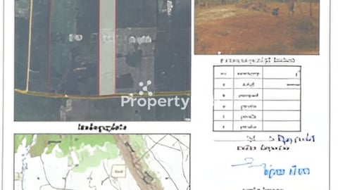 28000 m2  ក្បែរផ្លូវ​ ៤៣​ ព្រៃថ្នង