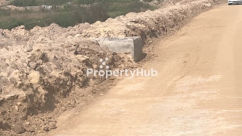 ដីកាំងម៉េងសម្រាប់លក់