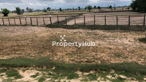 🔸ដីលក់បន្ទាន់🔸(ដីកំពុងវាស់ផ្លង់រឹង )