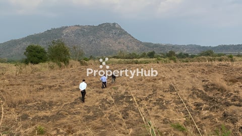 ដីចំការចុះពីផ្លូវកៅស៊ូរបន្តិច ជិតរោងចក្រស៊ីម៉ង់ចិនថ្មី