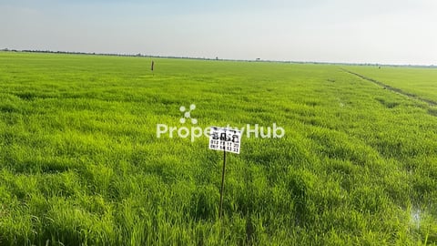 ដីស្រែប្រាំងលក់ ដីទំនប់ ១៩៧៨