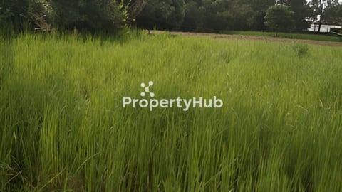 ដីក្រុងកែប លក់បន្ទាប់