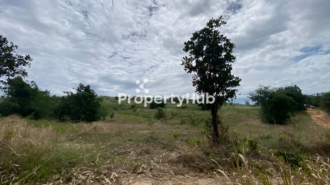 ដីលក់បន្ទាន់ខ្លាំងនៅជាប់គម្រោង ប៊ូយ៉ង និងតំបន់សេដ្ឋកិច្ចពិសេសក្រុងព្រះសីហនុ