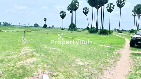 ដីស្រែលក់ (ទន្សាស្វិត)