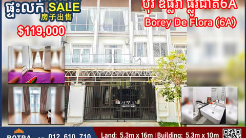 Linkhouse for Sale Borey De Flora, National Road 6A