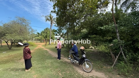 ដីជួល ទំហំជិត១ហិកតា នៅសាលាលេខ5 Land Rent at Sala Lek5 (Owner)