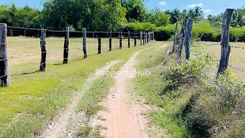 ដីលក់ប្រញាប់