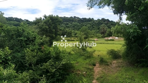Land for sale ( ដីលក់)​