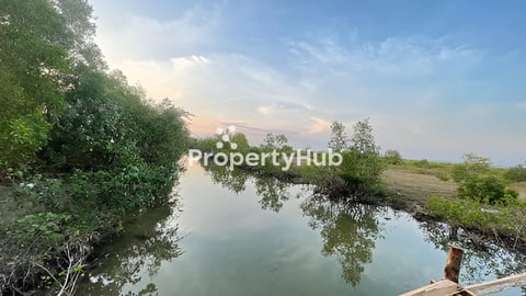 ដីលក់នៅកំពត