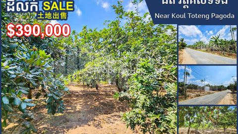 Farm Land available for Sale Near Koul Toteng Pagoda