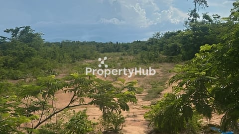 ដី​ជាប់​ផ្លូវ​កៅស៊ូ​ 24*100 ជាង​