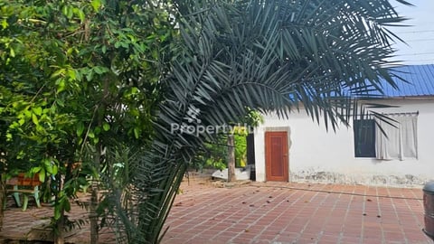 ផ្ទះ និងដីចំការសម្រាប់លក់នៅកៀនស្វាយ 🍀